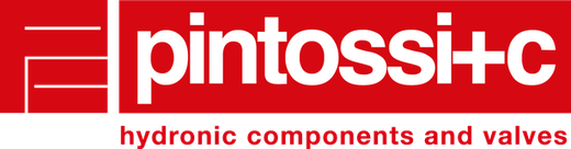 Pintossi+c